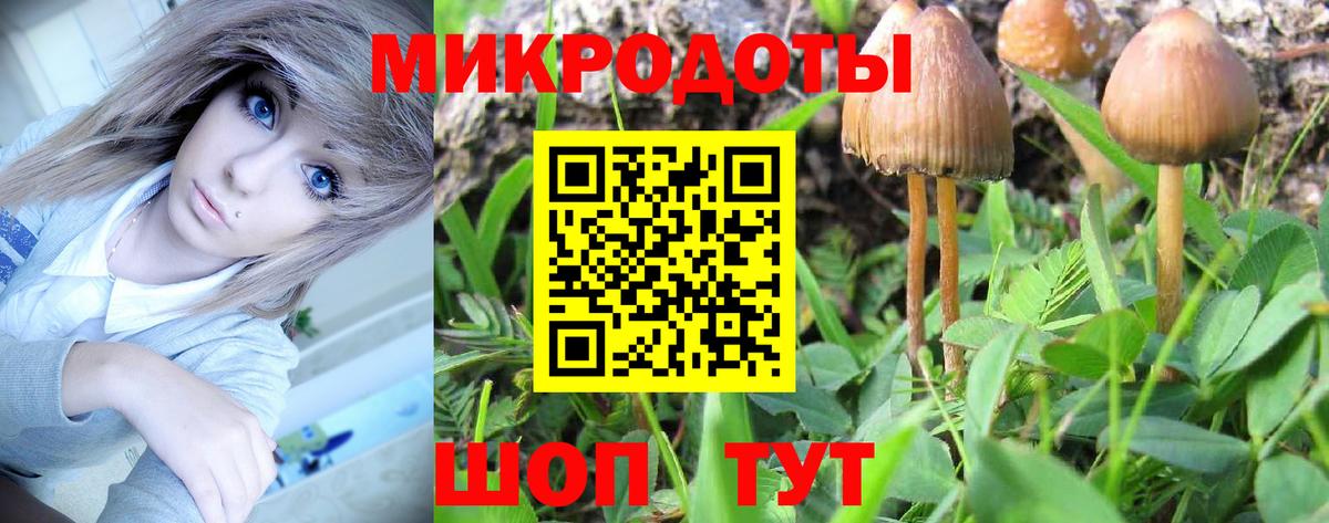 Вичуга  Галлюциногенные грибы GOLDEN TEACHER  Вход с VPN 